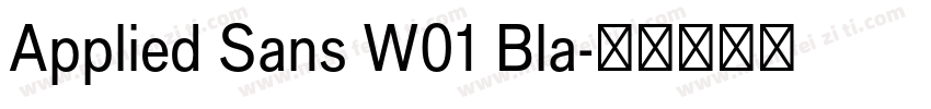 Applied Sans W01 Bla字体转换